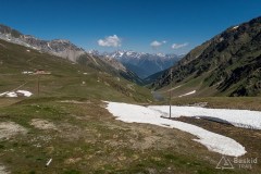 img_0271
