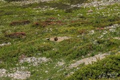 img_0286