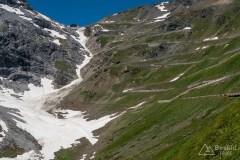 img_0287