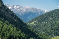 img_0307