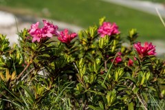 img_0310