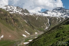 img_0312