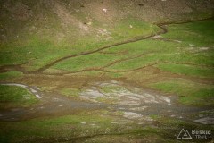 img_0314