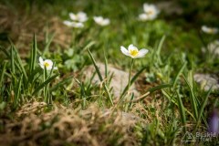 img_0323