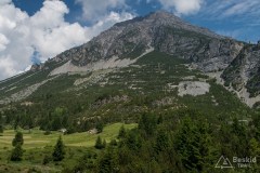 img_0326
