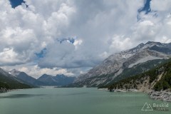 img_0335