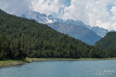 img_0341