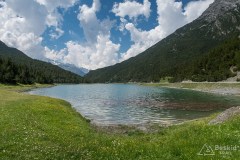 img_0342
