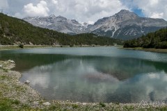 img_0346