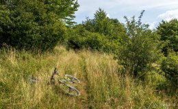 img_0399