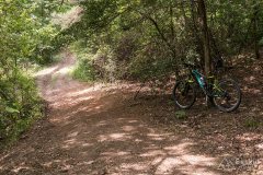img_0395