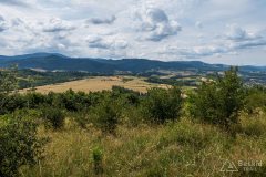 img_0396