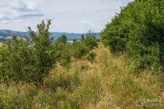 img_0397