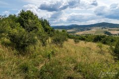 img_0398