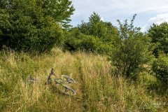 img_0399