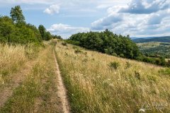 img_0401