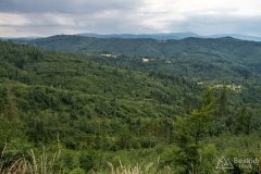 img_0418