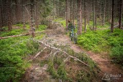 img_0424