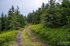 img_0426