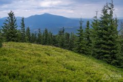 img_0427