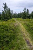 img_0428