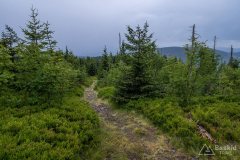 img_0430