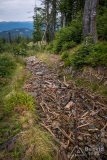 img_0437