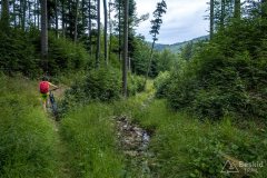 img_0444