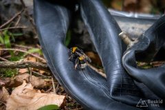 img_0446