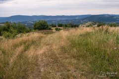 img_0449