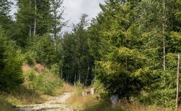 img_0518
