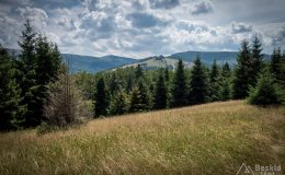 img_0537