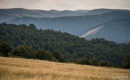 img_0555