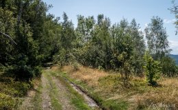 img_0569