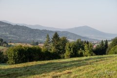 img_0646