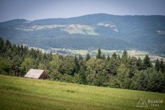 img_0651