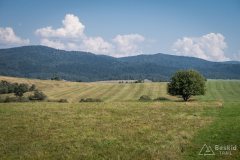 img_0668