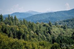 img_0670