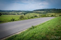 img_0698