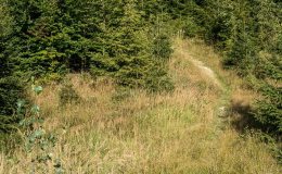 img_0759