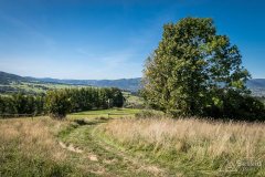 img_0721
