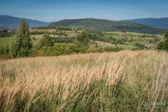img_0722