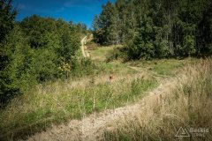img_0723