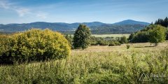 img_0725