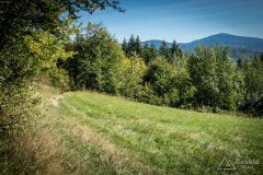 img_0726