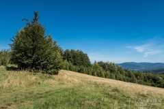 img_0728