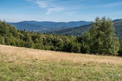 img_0729