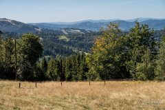 img_0731