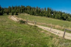img_0735