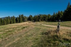 img_0736